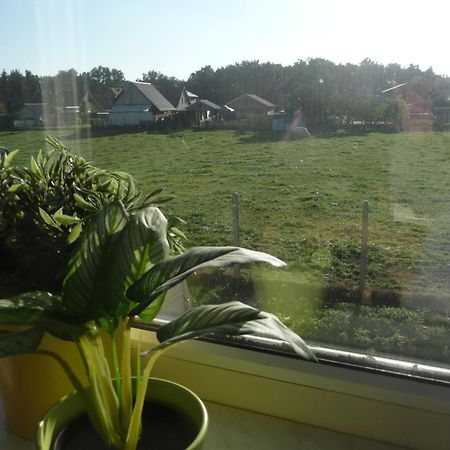 Bocholt De Alpacaboerderij 아파트 객실 사진