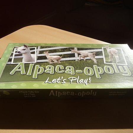 Bocholt De Alpacaboerderij 아파트 객실 사진