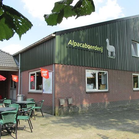 Bocholt De Alpacaboerderij 아파트 외부 사진