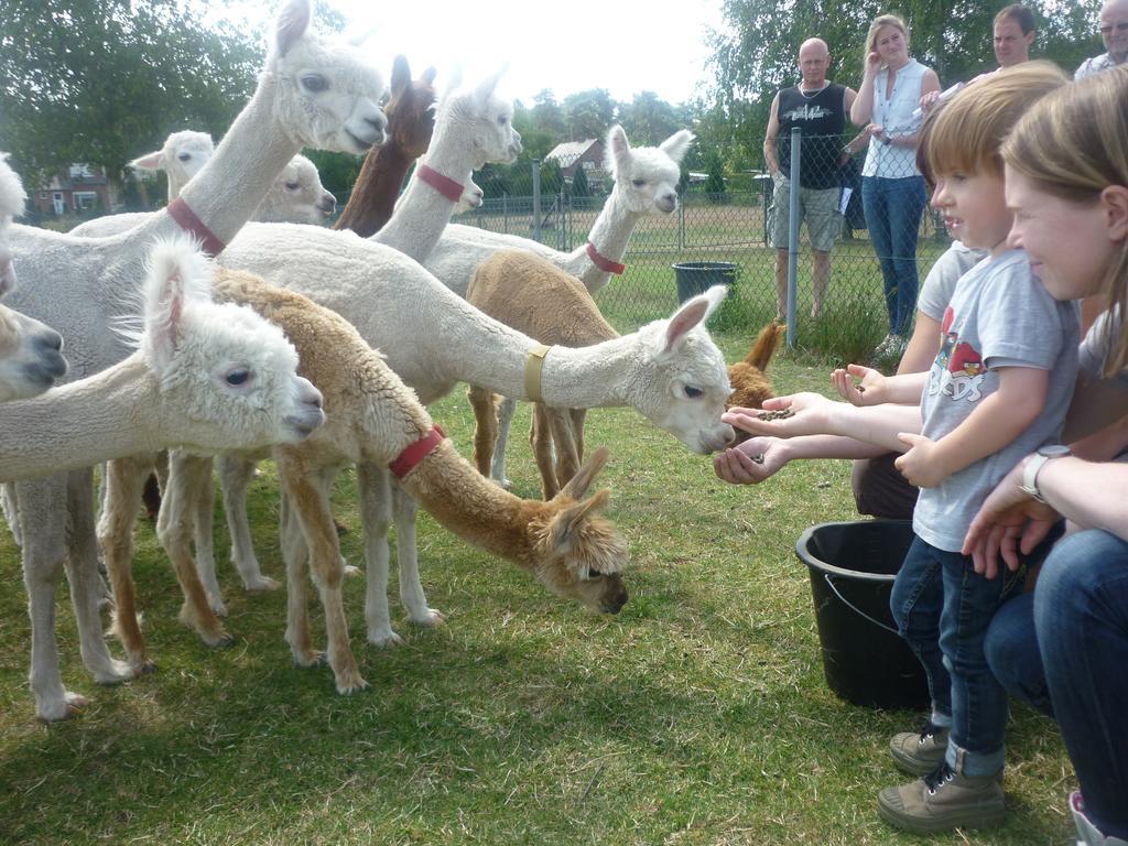 Bocholt De Alpacaboerderij 아파트 외부 사진