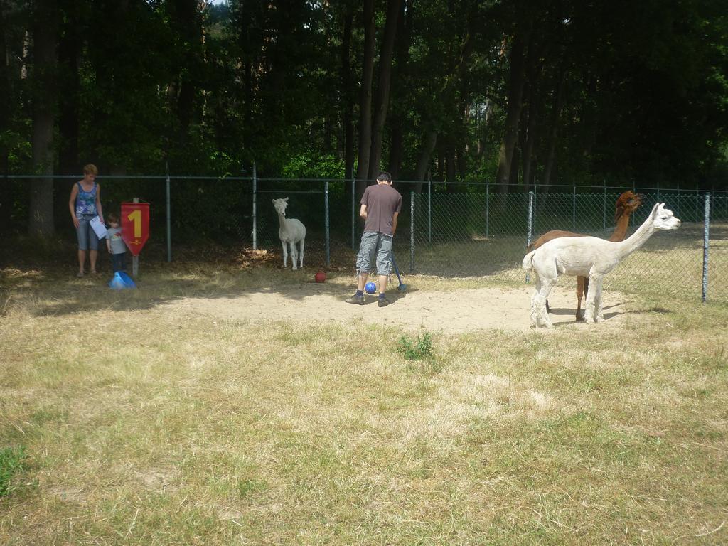 Bocholt De Alpacaboerderij 아파트 외부 사진