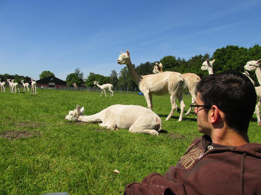Bocholt De Alpacaboerderij 아파트 외부 사진