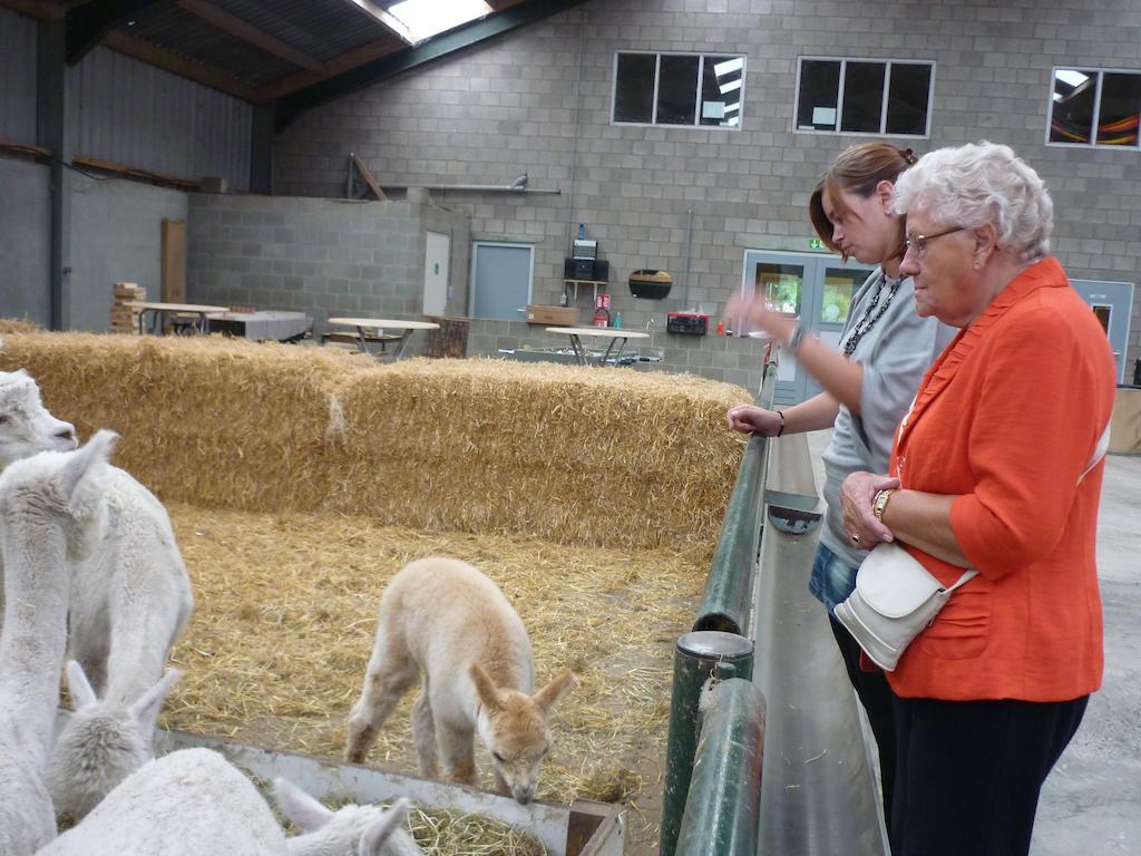 Bocholt De Alpacaboerderij 아파트 외부 사진