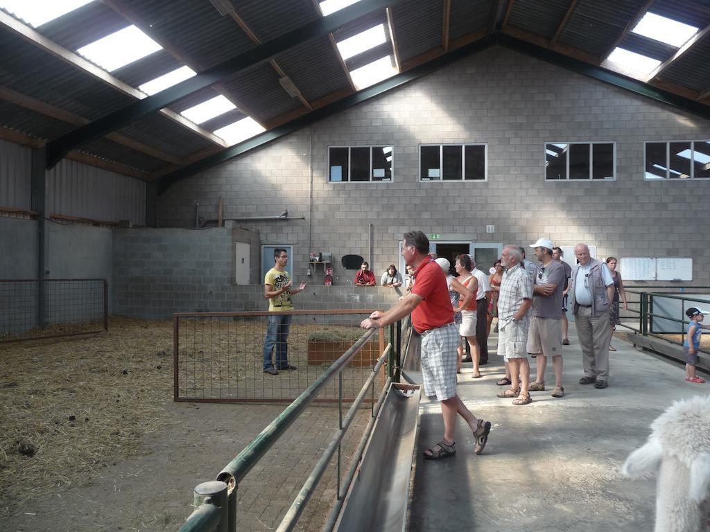 Bocholt De Alpacaboerderij 아파트 외부 사진